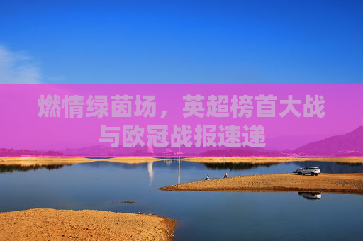 燃情绿茵场，英超榜首大战与欧冠战报速递