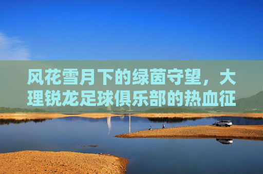 风花雪月下的绿茵守望，大理锐龙足球俱乐部的热血征程