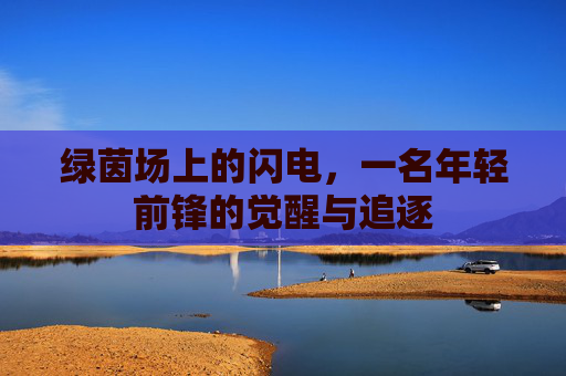 绿茵场上的闪电，一名年轻前锋的觉醒与追逐