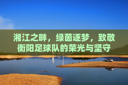 湘江之畔，绿茵逐梦，致敬衡阳足球队的荣光与坚守