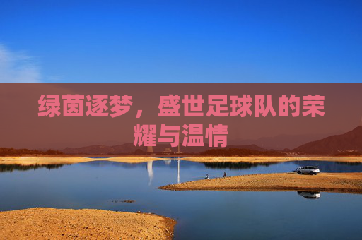 绿茵逐梦，盛世足球队的荣耀与温情