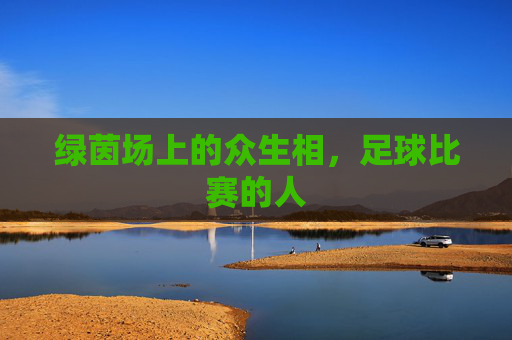 绿茵场上的众生相，足球比赛的人