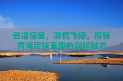 云端绿茵，激情飞扬，探秘青海足球直播的别样魅力