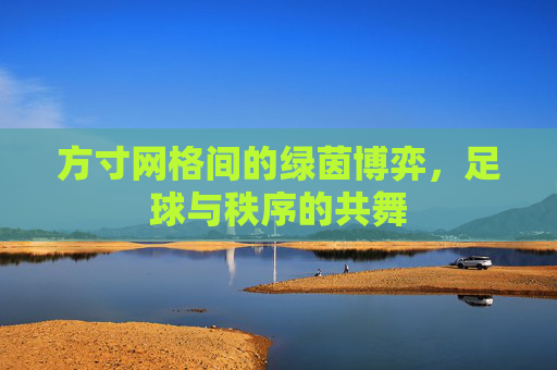 方寸网格间的绿茵博弈，足球与秩序的共舞