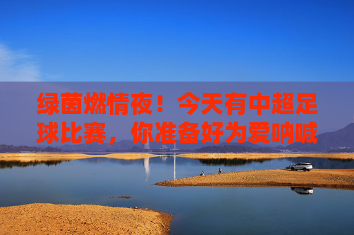 绿茵燃情夜！今天有中超足球比赛，你准备好为爱呐喊了吗？
