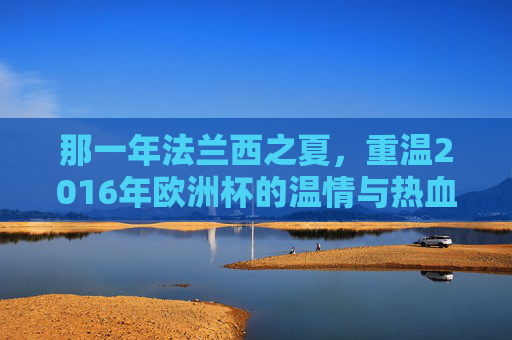 那一年法兰西之夏，重温2016年欧洲杯的温情与热血