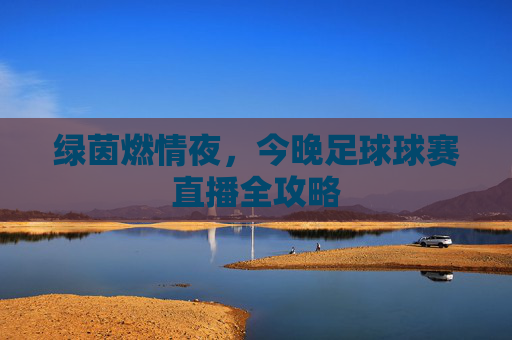绿茵燃情夜，今晚足球球赛直播全攻略