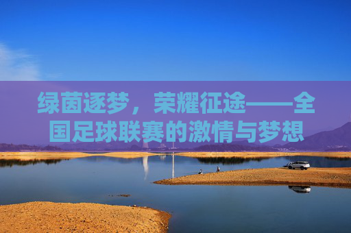 绿茵逐梦，荣耀征途——全国足球联赛的激情与梦想