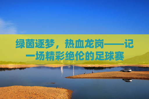 绿茵逐梦，热血龙岗——记一场精彩绝伦的足球赛