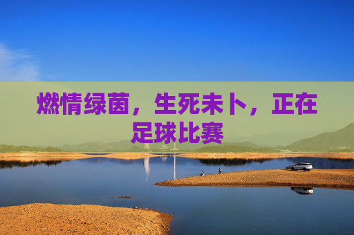 燃情绿茵，生死未卜，正在足球比赛