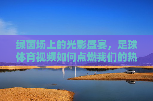 绿茵场上的光影盛宴，足球体育视频如何点燃我们的热爱