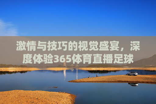 激情与技巧的视觉盛宴，深度体验365体育直播足球