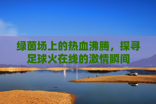 绿茵场上的热血沸腾，探寻足球火在线的激情瞬间