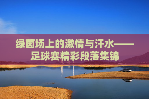 绿茵场上的激情与汗水——足球赛精彩段落集锦