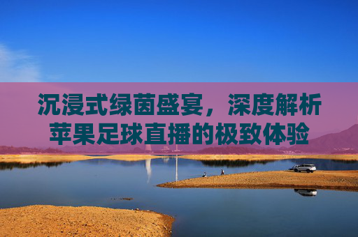 沉浸式绿茵盛宴，深度解析苹果足球直播的极致体验