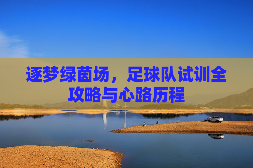 逐梦绿茵场，足球队试训全攻略与心路历程