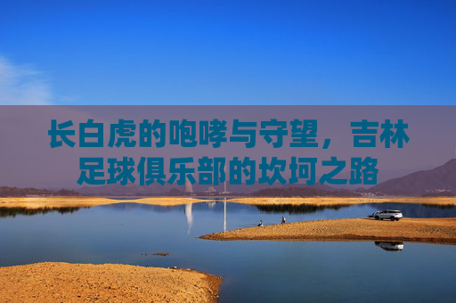 长白虎的咆哮与守望，吉林足球俱乐部的坎坷之路