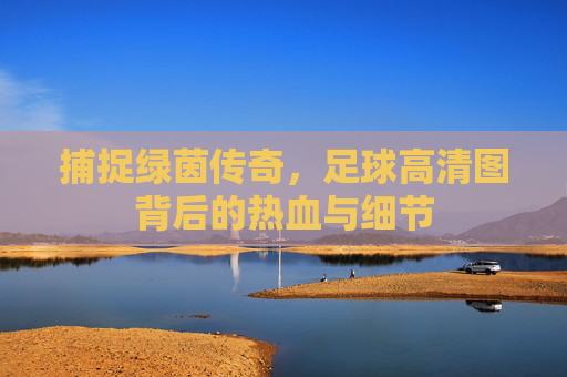 捕捉绿茵传奇，足球高清图背后的热血与细节