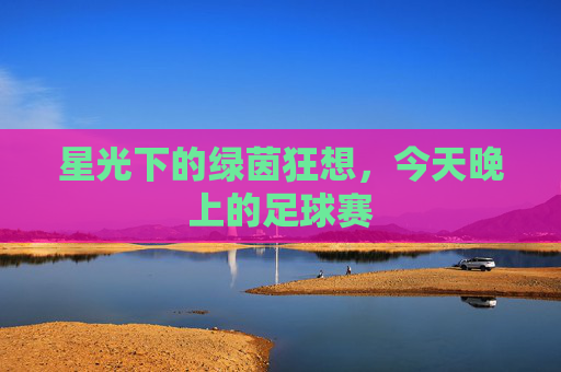 星光下的绿茵狂想，今天晚上的足球赛