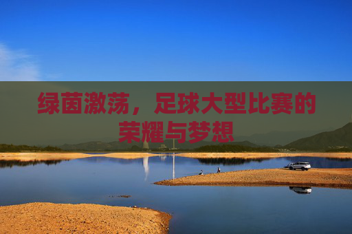 绿茵激荡，足球大型比赛的荣耀与梦想