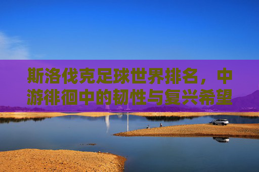 斯洛伐克足球世界排名，中游徘徊中的韧性与复兴希望