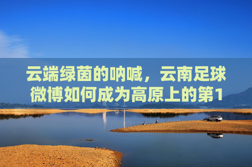 云端绿茵的呐喊，云南足球微博如何成为高原上的第12人