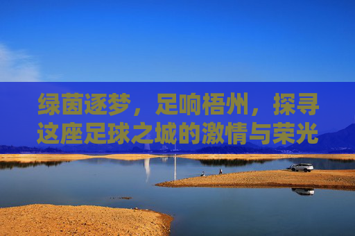 绿茵逐梦，足响梧州，探寻这座足球之城的激情与荣光
