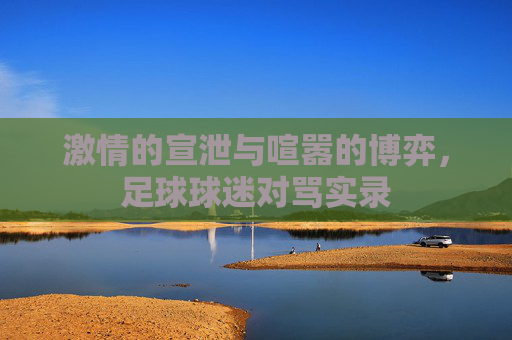 激情的宣泄与喧嚣的博弈，足球球迷对骂实录
