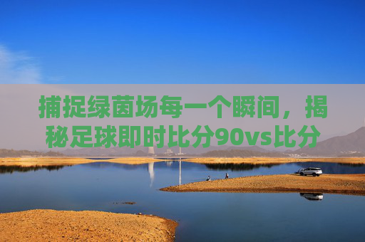 捕捉绿茵场每一个瞬间，揭秘足球即时比分90vs比分直播的极致体验
