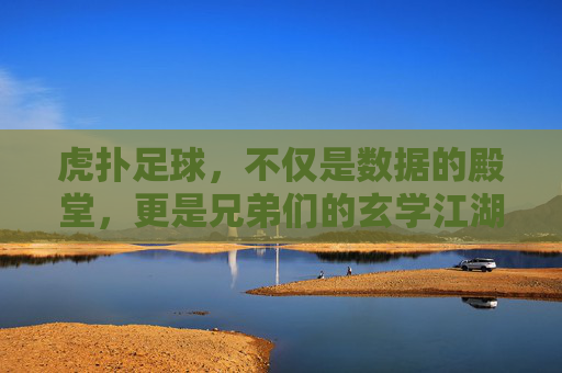 虎扑足球，不仅是数据的殿堂，更是兄弟们的玄学江湖