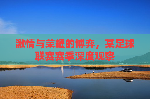激情与荣耀的博弈，某足球联赛赛季深度观察