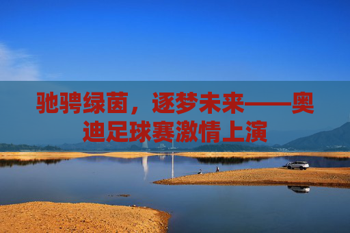 驰骋绿茵，逐梦未来——奥迪足球赛激情上演