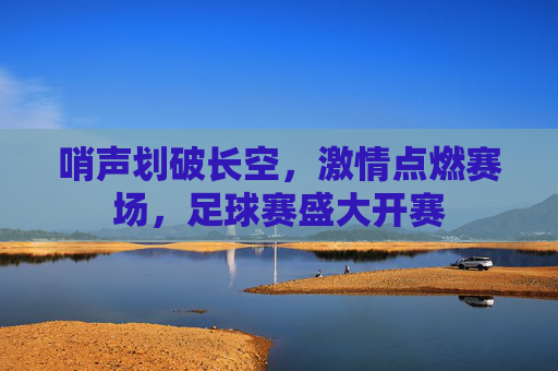 哨声划破长空，激情点燃赛场，足球赛盛大开赛