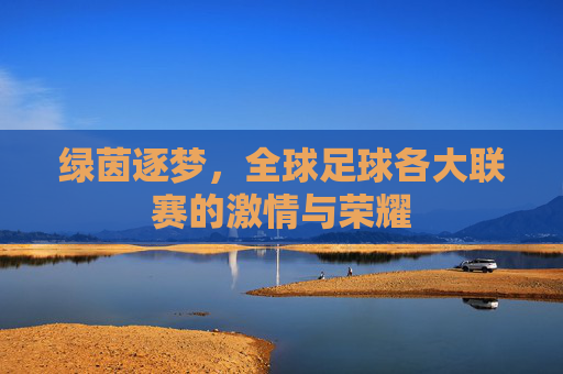 绿茵逐梦，全球足球各大联赛的激情与荣耀
