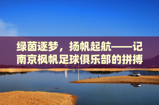 绿茵逐梦，扬帆起航——记南京枫帆足球俱乐部的拼搏之路