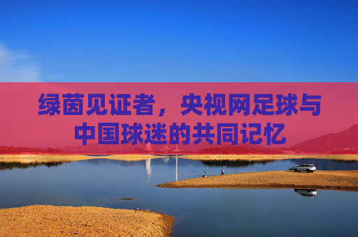 绿茵见证者，央视网足球与中国球迷的共同记忆
