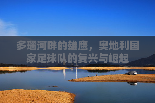 多瑙河畔的雄鹰，奥地利国家足球队的复兴与崛起