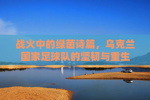 战火中的绿茵诗篇，乌克兰国家足球队的坚韧与重生