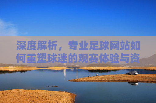 深度解析，专业足球网站如何重塑球迷的观赛体验与资讯获取方式