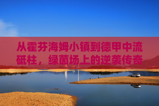 从霍芬海姆小镇到德甲中流砥柱，绿茵场上的逆袭传奇与复兴之路