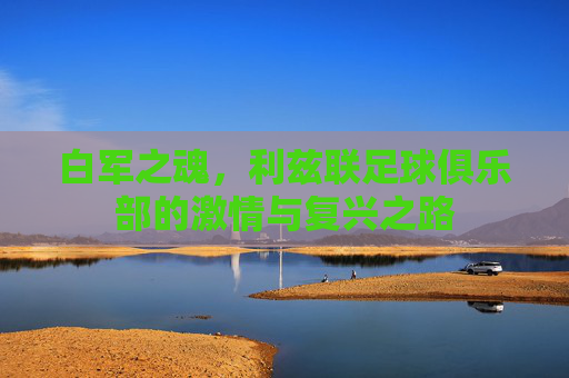 白军之魂，利兹联足球俱乐部的激情与复兴之路