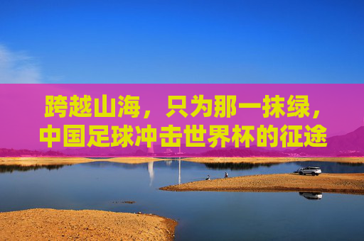 跨越山海，只为那一抹绿，中国足球冲击世界杯的征途