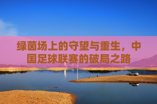 绿茵场上的守望与重生，中国足球联赛的破局之路