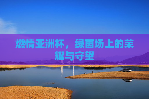 燃情亚洲杯，绿茵场上的荣耀与守望