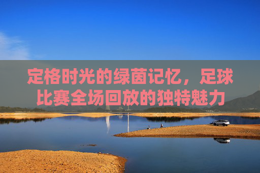 定格时光的绿茵记忆，足球比赛全场回放的独特魅力