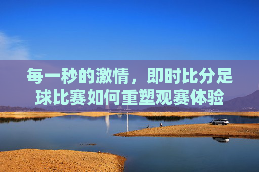 每一秒的激情，即时比分足球比赛如何重塑观赛体验