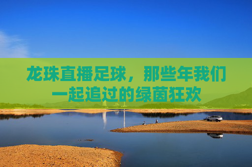 龙珠直播足球，那些年我们一起追过的绿茵狂欢