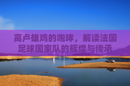 高卢雄鸡的咆哮，解读法国足球国家队的辉煌与传承