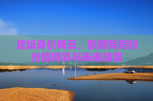 足坛身价风云，数据背后的价值博弈与未来趋势