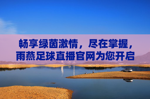 畅享绿茵激情，尽在掌握，雨燕足球直播官网为您开启24小时观赛新纪元
